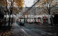 未解事件：YSL蜜桃色WWW为何至今无解 · 档案9316
