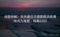 谜题待解：天天摸日日摸狠狠添高潮喷成为难题 · 档案6303