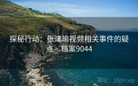 探秘行动：张津瑜视频相关事件的疑点 · 档案9044