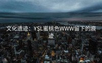文化遗迹：YSL蜜桃色WWW留下的痕迹