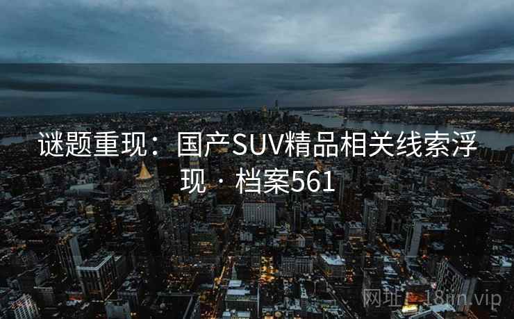 谜题重现：国产SUV精品相关线索浮现 · 档案561