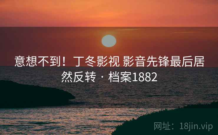 意想不到！丁冬影视 影音先锋最后居然反转 · 档案1882