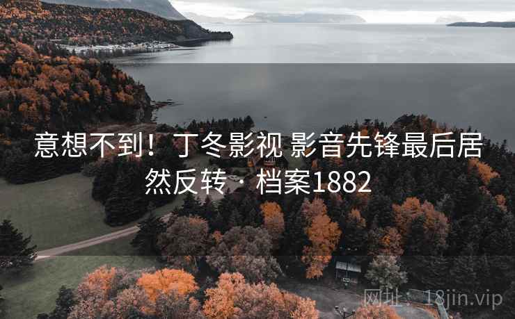 意想不到！丁冬影视 影音先锋最后居然反转 · 档案1882