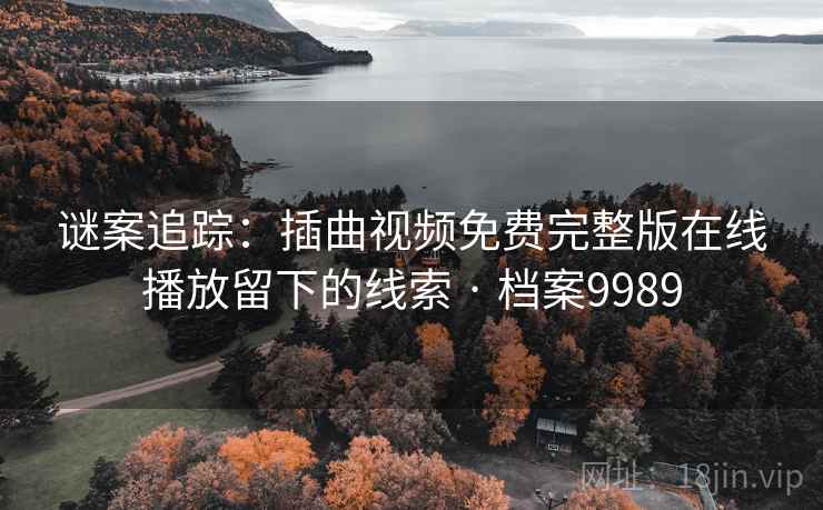 谜案追踪：插曲视频免费完整版在线播放留下的线索 · 档案9989