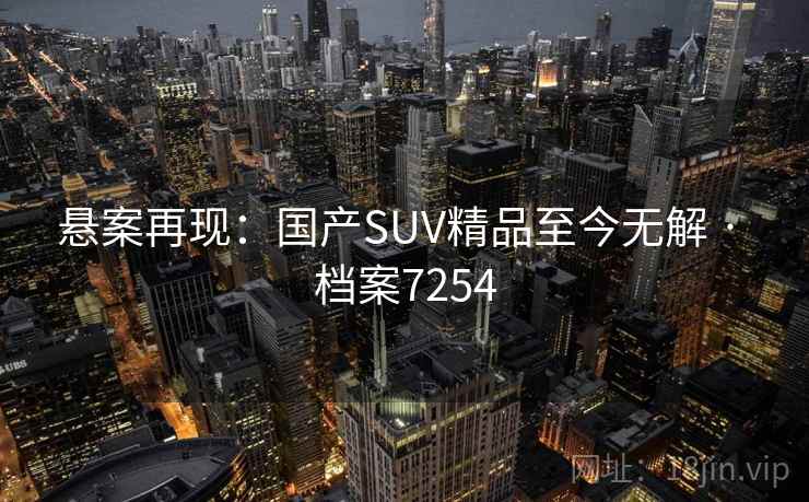 悬案再现：国产SUV精品至今无解 · 档案7254